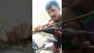 SPEARFISHING catch and cook with MUKBANG [upl. by Mercado]