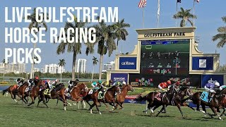 Live Gulfstream Park Horse Racing Picks [upl. by Henryk]