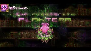 Plantera  Calamity Infernum mode Ranger [upl. by Elin434]