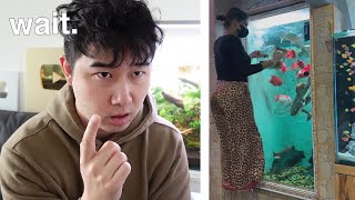 Instagram VS Reality  Fish Tank Review 261 [upl. by Auqinet171]