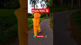 Dog prank 🙀😂🐕 trending funny theteddyofficial ytshorts shorts teddy [upl. by Ledba]