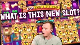 DOG HOUSE MULTIHOLD Mega Big Win on NEW Slot [upl. by Lehte556]