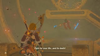 Vah Naboris and Thunderblight Ganon Master Mode part 11 [upl. by Airednaxela]