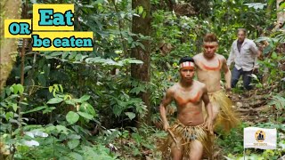 Documentary The Matses tribes in the Amazon Part 2 [upl. by Nettle]