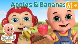 Apples and Bananas Song  Nursery Rhymes Collection and Baby Songs from Jugnu Kids [upl. by Burkhart]