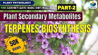 PLANTS SECONDARY METABOLITES PART2 TERPENES BIOSYNTHESIS CSIR NET [upl. by Faye]