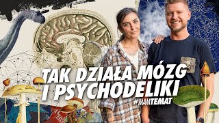 Jak mądrze dbać o mózg Jak psychodeliki wpływają na mózg  Dr Asia Podgórska MamTemat 40 [upl. by Auqenes288]