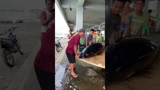 Kailangan talaga madiskarte ka viral fishing tuna trending shorts youtubeshorts shortvideo [upl. by Tnarg]