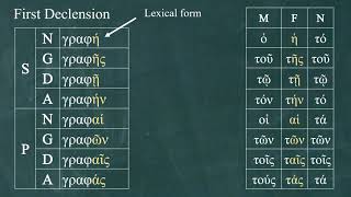 Intro to Greek 11 First Declension Part 1 [upl. by Lori787]