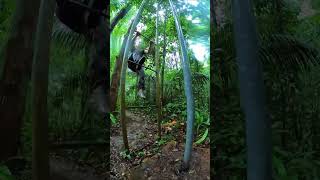 Défis physiques en pleine jungle 🏋️‍♂️  Camp Cisame Guyane Amazonie Aventure Nature [upl. by Syck]