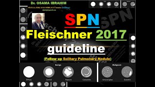 Fleischner 2017 guideline and how to follow up solitary pulmonary nodule SPN [upl. by Aisatna]