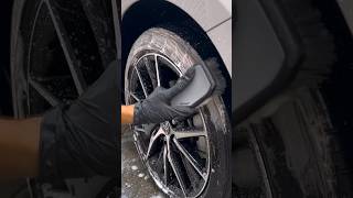 VIKING Tire Brush  ASMR shorts detailing asmr [upl. by Naicad]