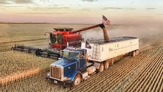 Welker Farms 2016  Part 3  Harvest [upl. by Ostler150]