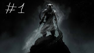 Lets play FR Skyrim  Episode 1 La naissance dun guerrier [upl. by Eiroc]