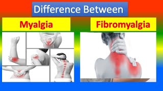 Distinction between Myalgia and Fibromyalgia [upl. by Heurlin737]