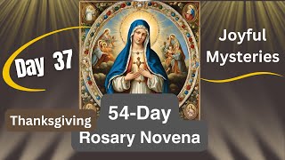 Day 37 54Day Rosary Novena  In Thanksgiving  Joyful [upl. by Yrrat335]