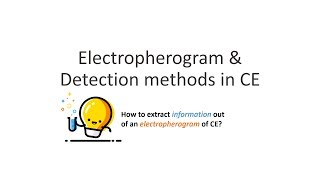 Capillary Electrophoresis Part 4 Electropherogram amp Migration Time [upl. by Santoro]