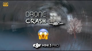 Disastro Drone precipita scontrandosi contro un albero  DJI MINI 3 PRO dr drone crash dronepilot [upl. by Shaner]