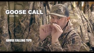 BEGINNING GUIDE TO BUYING A GOOSE CALL THINGS TO KNOW MOLT GEAR CALLS [upl. by Gratia]