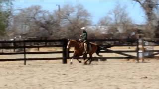 California vaquero bridle horse [upl. by Basir]