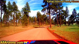 🌵 WILLIAMS ARIZONA  a Relaxing day around in the forest near Flagstaff and Williams [upl. by Lrak]