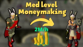 Money Making for Med Levels 10 Methods  OSRS [upl. by Winser]