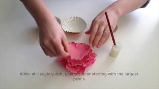 How to Make a Sugarcraft Peony Flower [upl. by Oigaib45]