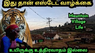 உயிருக்கு உத்திரவாதம் இல்லாத ஆபத்தான எஸ்டேட் வாழ்க்கைmountain estate lifenilgiris [upl. by Rolyak]