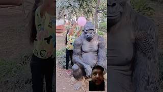 Gorilla and crocodile 🐊 music beats remix funny emotional shorts trendingshorts [upl. by Notniuqal]