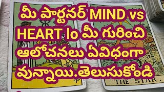 💯❤️మీ పార్టనర్ MIND vs HEART lo మీ గురించి ఆలోచనలు ఏవిధంగా వున్నాయితెలుసుకోండి [upl. by Anirbaz]