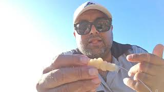 Quick fishing session Gordansbay Hottentot catch [upl. by Ariamo791]