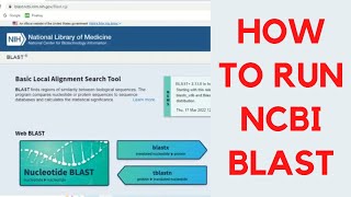 How to run NCBI blast  NCBI blast tutorial  How to perform or use blast practically [upl. by Mendelsohn]