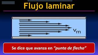 FISIOLOGIA  HEMODINAMIA 3ra Parte Lucas Gracia [upl. by Colline101]