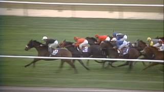 1985 Breeders Cup Turf [upl. by Zennie]