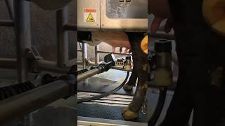 Effortless Milking Discover Automatic Cow Milking Machines [upl. by Valerie]