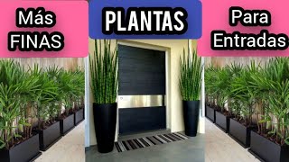 Finas y Modernas Plantas para Entradas de Casas [upl. by Euqirrne]