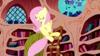 The Best of Fluttershy [upl. by Cathlene]