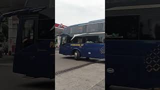 Sangat mewah pandawa 87 😍🔥 bus automobile jetbus5 trending viralvideo [upl. by Rollo654]