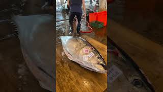 Epic Tuna Cutting Skills Master Slices a Giant Bluefin Tuna Like a Pro bluefintuna fish [upl. by Astrix200]