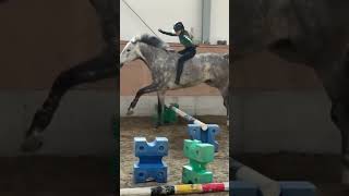 from tik tok 🔥 horse equestrian edit спорт лошади horsejumping рек music showjumping [upl. by Liza]