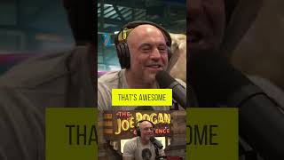 Scott Storch tells Joe Rogan hanging out with Mike Tyson felt like the hangover movie [upl. by Melborn197]