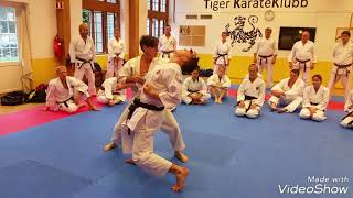 Rick Hotton Sensei in Tiger Dojo 2 [upl. by Arikal]