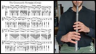 Tuto Low Whistle  The Greencastle Hornpipe Gmaj [upl. by Hayalat832]