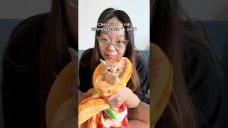 Clementine 🍊 is a SPICY PIZZA PURRITO 🌶️🍕🌯 babykittens catcare nailtrimming [upl. by Mad]