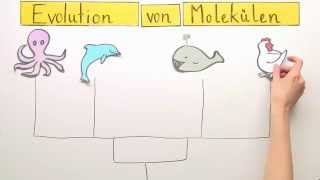 Die Evolution von Molekülen  Biologie  Evolution [upl. by Ecaj784]