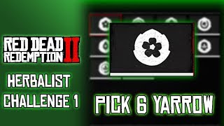 RDR2 Herbalist Challenge 1 Pick Six Yarrow [upl. by Normalie]