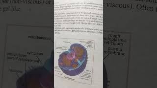 what is cytoplasm cytoplasmcytosol [upl. by Laurance]