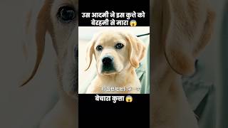 उस आदमी ने इस प्यारे कुत्ते को बेरहमी से मारा 😱  short dog movie [upl. by Euseibbob849]