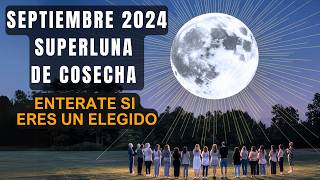 Superluna de Cosecha de Septiembre y Eclipse Lunar El Poder Espiritual que Cambiará tu Vida [upl. by Aruasor152]