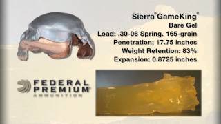 Bullet Performance Federal Premium Sierra GameKing [upl. by Acherman336]